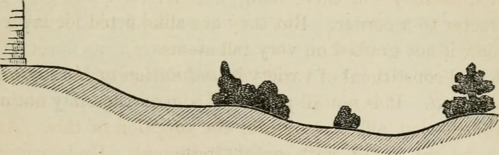 An illustration from How to lay out a garden : intended as a general guide in choosing, forming, or improving an estate, (from a quarter of an acre to a hundred acres in extent) with reference to both design and execution, 1860, leaf 122