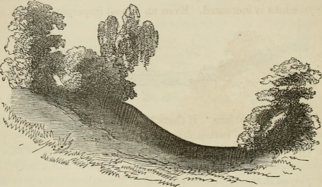 An illustration from How to lay out a garden : intended as a general guide in choosing, forming, or improving an estate, (from a quarter of an acre to a hundred acres in extent) with reference to both design and execution, 1860, leaf 123