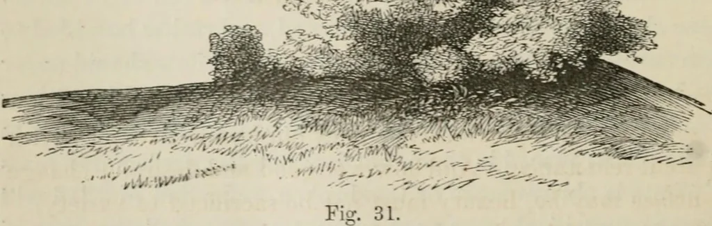 An illustration from How to lay out a garden : intended as a general guide in choosing, forming, or improving an estate, (from a quarter of an acre to a hundred acres in extent) with reference to both design and execution, 1860, leaf 123