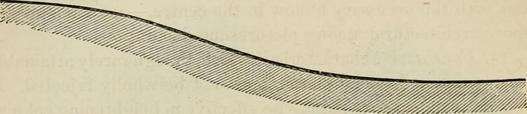 An illustration from How to lay out a garden : intended as a general guide in choosing, forming, or improving an estate, (from a quarter of an acre to a hundred acres in extent) with reference to both design and execution, 1860, leaf 125