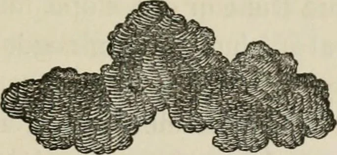 An illustration from How to lay out a garden : intended as a general guide in choosing, forming, or improving an estate, (from a quarter of an acre to a hundred acres in extent) with reference to both design and execution, 1860, leaf 138