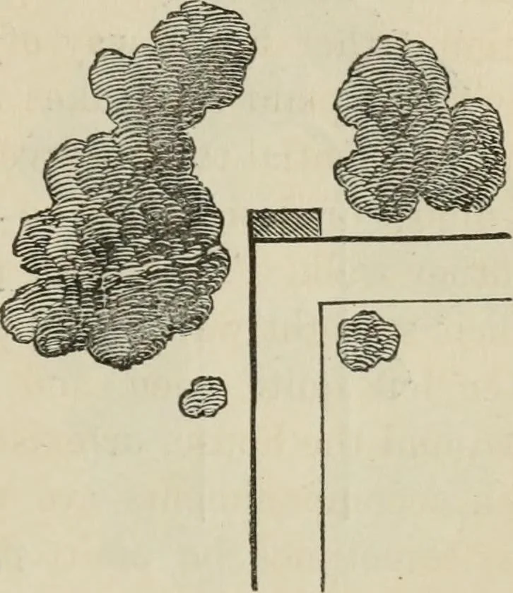 An illustration from How to lay out a garden : intended as a general guide in choosing, forming, or improving an estate, (from a quarter of an acre to a hundred acres in extent) with reference to both design and execution, 1860, leaf 140