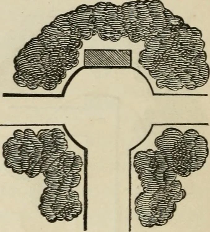 An illustration from How to lay out a garden : intended as a general guide in choosing, forming, or improving an estate, (from a quarter of an acre to a hundred acres in extent) with reference to both design and execution, 1860, leaf 141