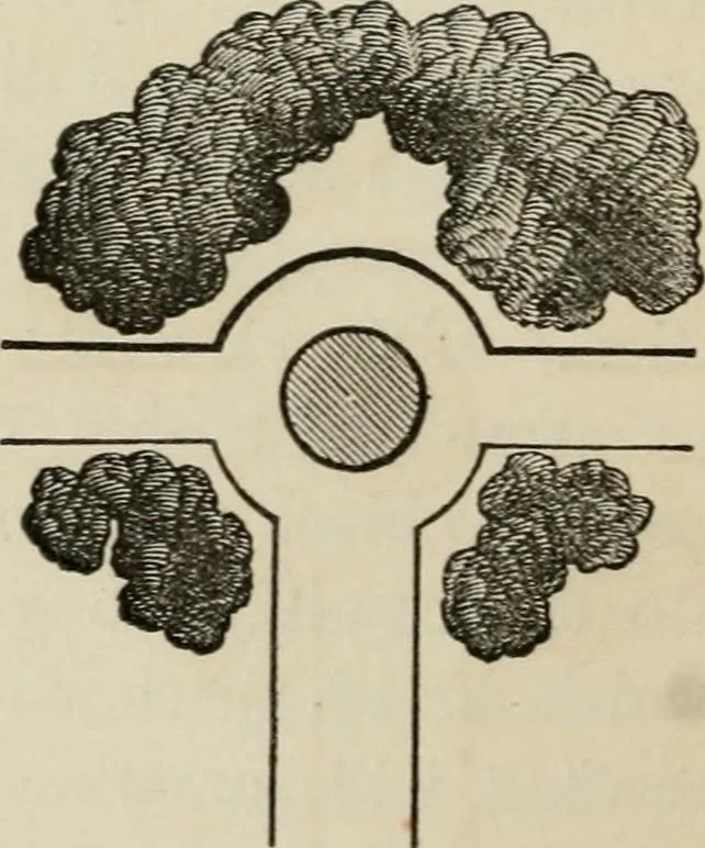 An illustration from How to lay out a garden : intended as a general guide in choosing, forming, or improving an estate, (from a quarter of an acre to a hundred acres in extent) with reference to both design and execution, 1860, leaf 141
