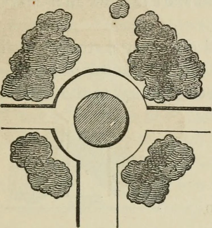 An illustration from How to lay out a garden : intended as a general guide in choosing, forming, or improving an estate, (from a quarter of an acre to a hundred acres in extent) with reference to both design and execution, 1860, leaf 142