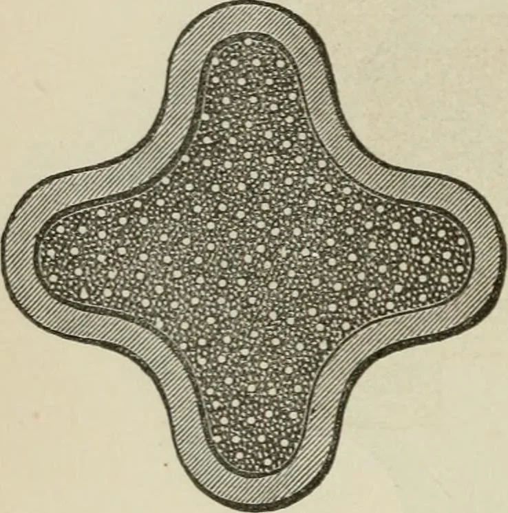 An illustration from How to lay out a garden : intended as a general guide in choosing, forming, or improving an estate, (from a quarter of an acre to a hundred acres in extent) with reference to both design and execution, 1860, leaf 159