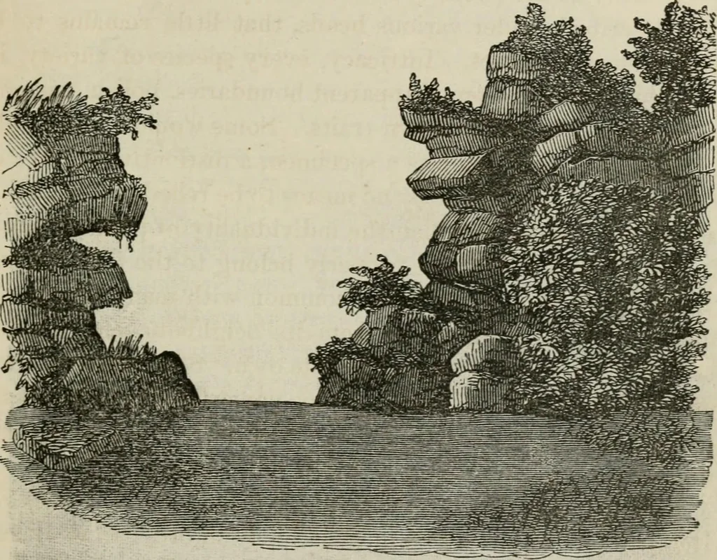 An illustration from How to lay out a garden : intended as a general guide in choosing, forming, or improving an estate, (from a quarter of an acre to a hundred acres in extent) with reference to both design and execution, 1860, leaf 162