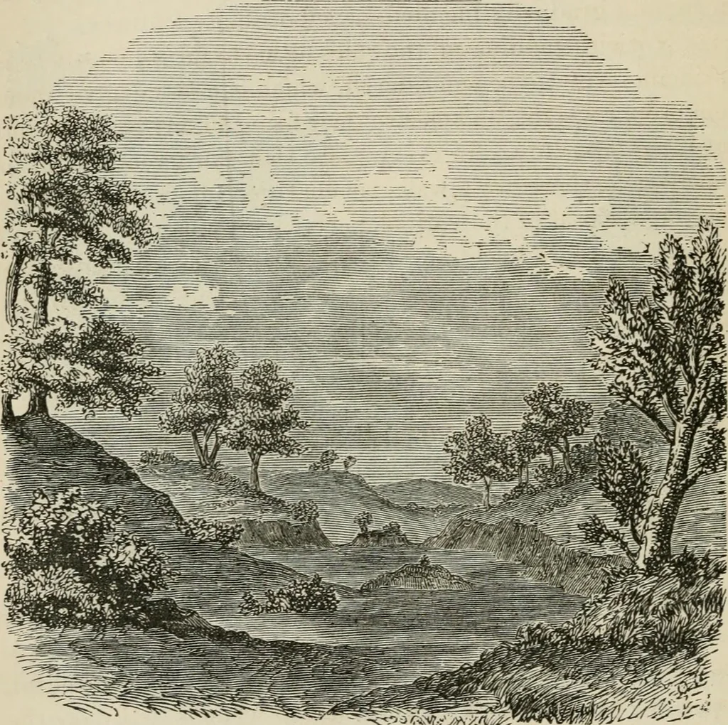 An illustration from How to lay out a garden : intended as a general guide in choosing, forming, or improving an estate, (from a quarter of an acre to a hundred acres in extent) with reference to both design and execution, 1860, leaf 163