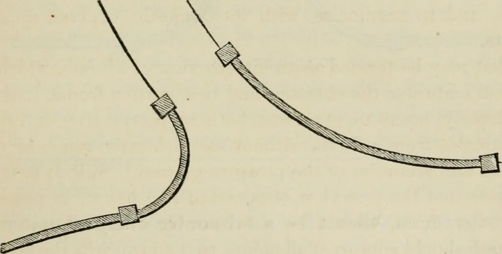 An illustration from How to lay out a garden : intended as a general guide in choosing, forming, or improving an estate, (from a quarter of an acre to a hundred acres in extent) with reference to both design and execution, 1860, leaf 182