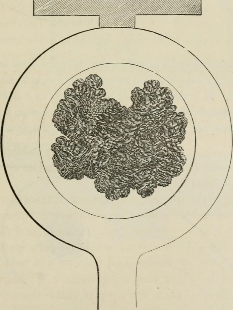An illustration from How to lay out a garden : intended as a general guide in choosing, forming, or improving an estate, (from a quarter of an acre to a hundred acres in extent) with reference to both design and execution, 1860, leaf 186