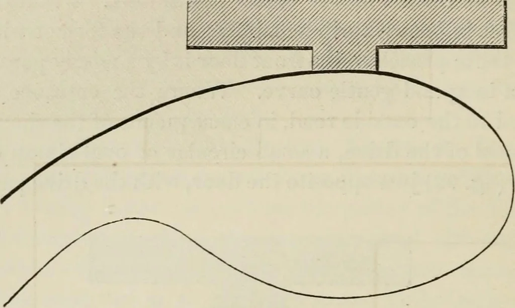 An illustration from How to lay out a garden : intended as a general guide in choosing, forming, or improving an estate, (from a quarter of an acre to a hundred acres in extent) with reference to both design and execution, 1860, leaf 187