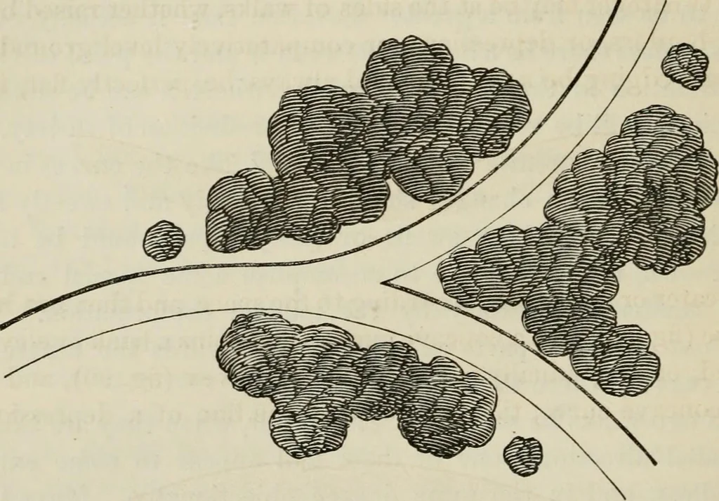 An illustration from How to lay out a garden : intended as a general guide in choosing, forming, or improving an estate, (from a quarter of an acre to a hundred acres in extent) with reference to both design and execution, 1860, leaf 191