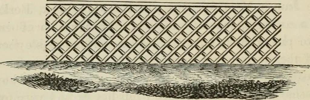 An illustration from How to lay out a garden : intended as a general guide in choosing, forming, or improving an estate, (from a quarter of an acre to a hundred acres in extent) with reference to both design and execution, 1860, leaf 197