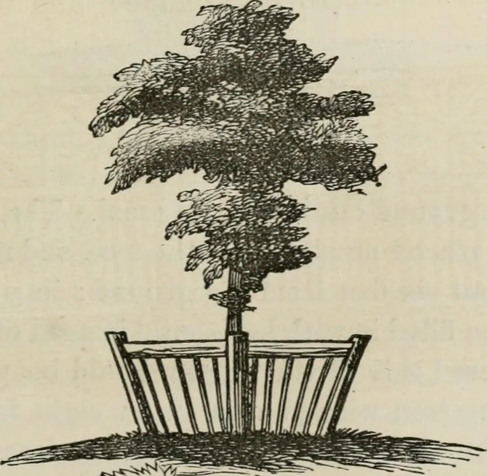 An illustration from How to lay out a garden : intended as a general guide in choosing, forming, or improving an estate, (from a quarter of an acre to a hundred acres in extent) with reference to both design and execution, 1860, leaf 198