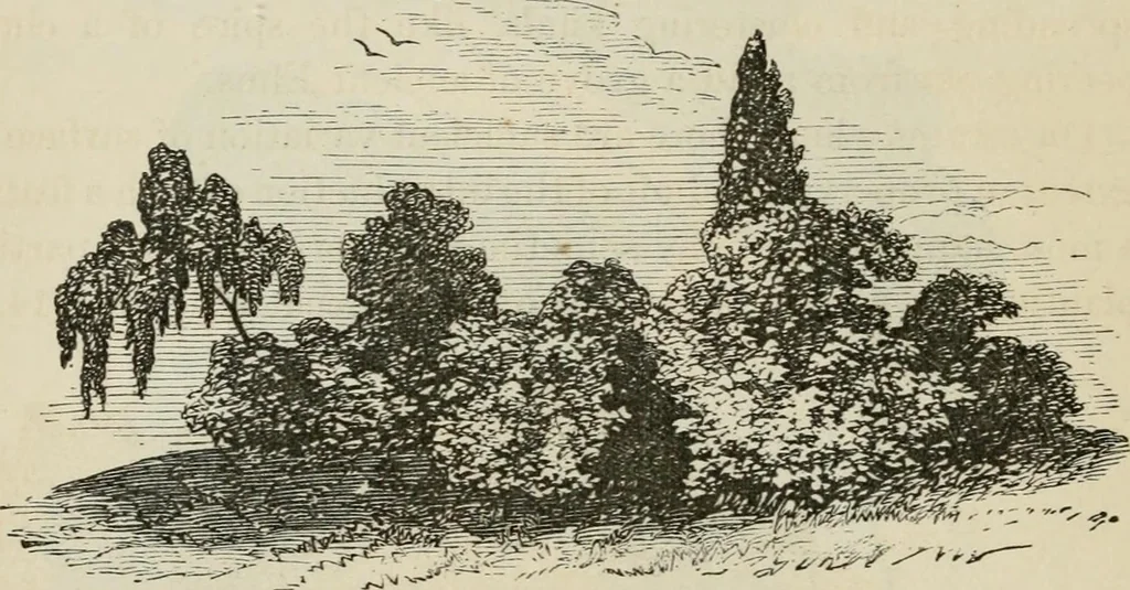 An illustration from How to lay out a garden : intended as a general guide in choosing, forming, or improving an estate, (from a quarter of an acre to a hundred acres in extent) with reference to both design and execution, 1860, leaf 205