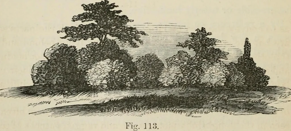 An illustration from How to lay out a garden : intended as a general guide in choosing, forming, or improving an estate, (from a quarter of an acre to a hundred acres in extent) with reference to both design and execution, 1860, leaf 205