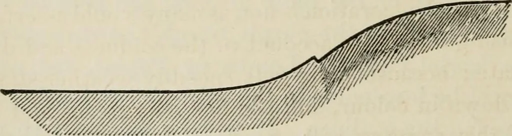 An illustration from How to lay out a garden : intended as a general guide in choosing, forming, or improving an estate, (from a quarter of an acre to a hundred acres in extent) with reference to both design and execution, 1860, leaf 213