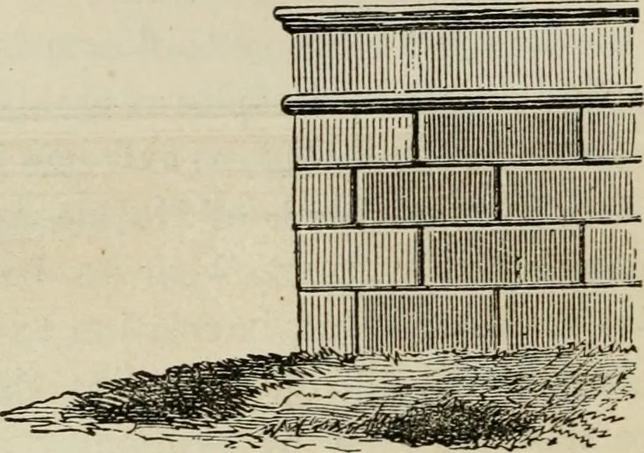An illustration from How to lay out a garden : intended as a general guide in choosing, forming, or improving an estate, (from a quarter of an acre to a hundred acres in extent) with reference to both design and execution, 1860, leaf 221