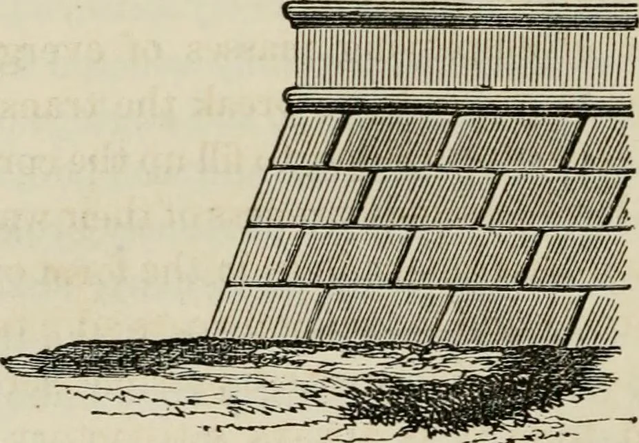 An illustration from How to lay out a garden : intended as a general guide in choosing, forming, or improving an estate, (from a quarter of an acre to a hundred acres in extent) with reference to both design and execution, 1860, leaf 221