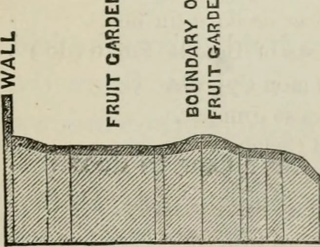 An illustration from How to lay out a garden : intended as a general guide in choosing, forming, or improving an estate, (from a quarter of an acre to a hundred acres in extent) with reference to both design and execution, 1860, leaf 236