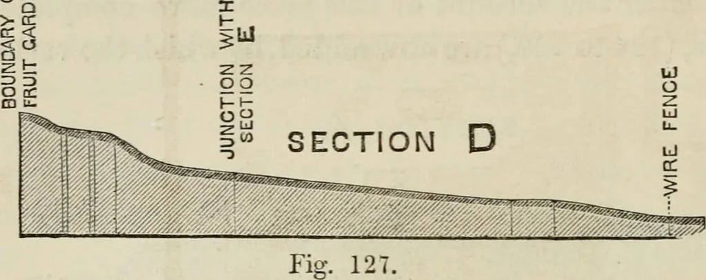 An illustration from How to lay out a garden : intended as a general guide in choosing, forming, or improving an estate, (from a quarter of an acre to a hundred acres in extent) with reference to both design and execution, 1860, leaf 237