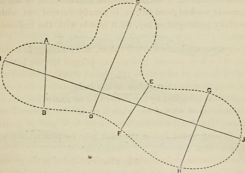 An illustration from How to lay out a garden : intended as a general guide in choosing, forming, or improving an estate, (from a quarter of an acre to a hundred acres in extent) with reference to both design and execution, 1860, leaf 250