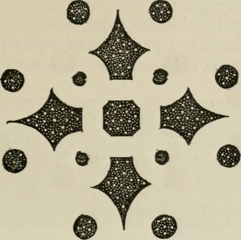 An illustration from How to lay out a garden : intended as a general guide in choosing, forming, or improving an estate, (from a quarter of an acre to a hundred acres in extent) with reference to both design and execution, 1860, leaf 292