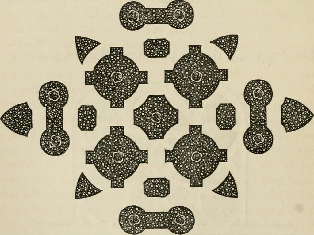An illustration from How to lay out a garden : intended as a general guide in choosing, forming, or improving an estate, (from a quarter of an acre to a hundred acres in extent) with reference to both design and execution, 1860, leaf 313