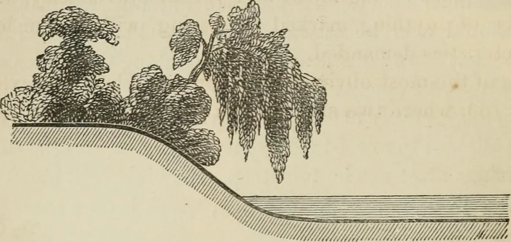 An illustration from How to lay out a garden : intended as a general guide in choosing, forming, or improving an estate, (from a quarter of an acre to a hundred acres in extent) with reference to both design and execution, 1860, leaf 343