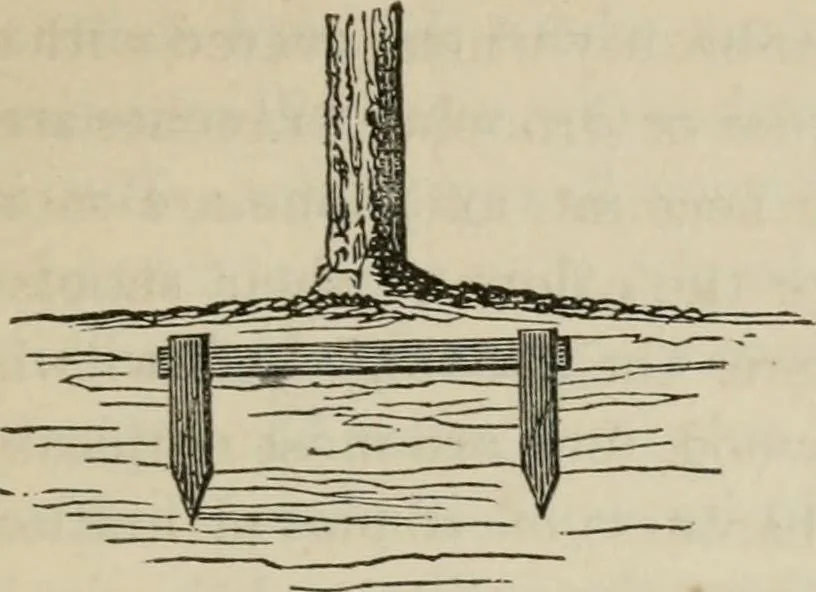 An illustration from How to lay out a garden : intended as a general guide in choosing, forming, or improving an estate, (from a quarter of an acre to a hundred acres in extent) with reference to both design and execution, 1860, leaf 430