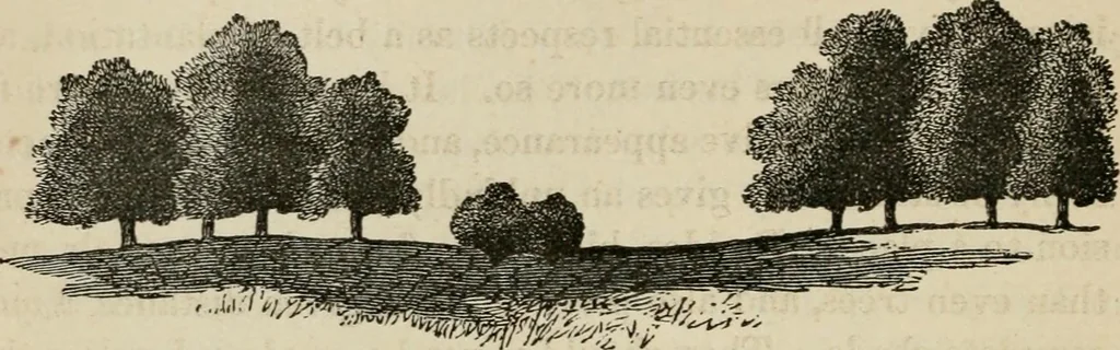 An illustration from How to lay out a garden : intended as a general guide in choosing, forming, or improving an estate, (from a quarter of an acre to a hundred acres in extent) with reference to both design and execution, 1860, leaf 73