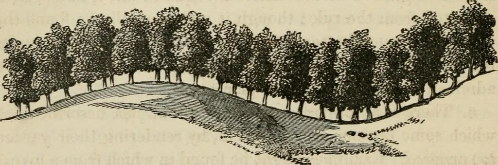 An illustration from How to lay out a garden : intended as a general guide in choosing, forming, or improving an estate, (from a quarter of an acre to a hundred acres in extent) with reference to both design and execution, 1860, leaf 73