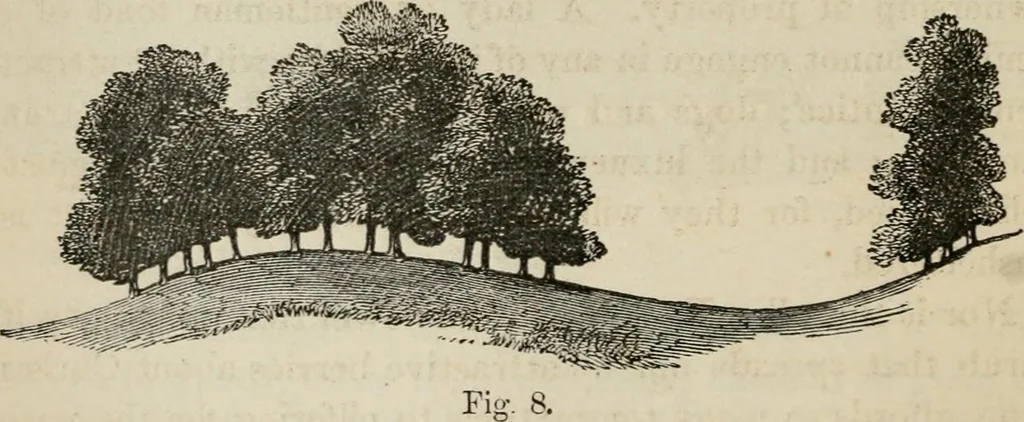 An illustration from How to lay out a garden : intended as a general guide in choosing, forming, or improving an estate, (from a quarter of an acre to a hundred acres in extent) with reference to both design and execution, 1860, leaf 73