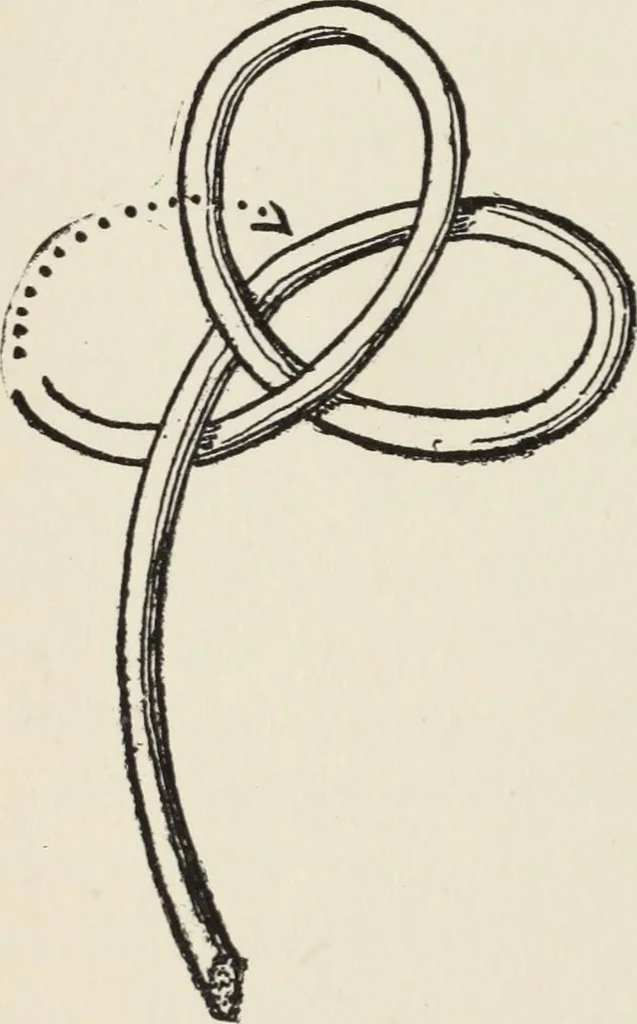 An illustration from How to make baskets, 1911, leaf 111