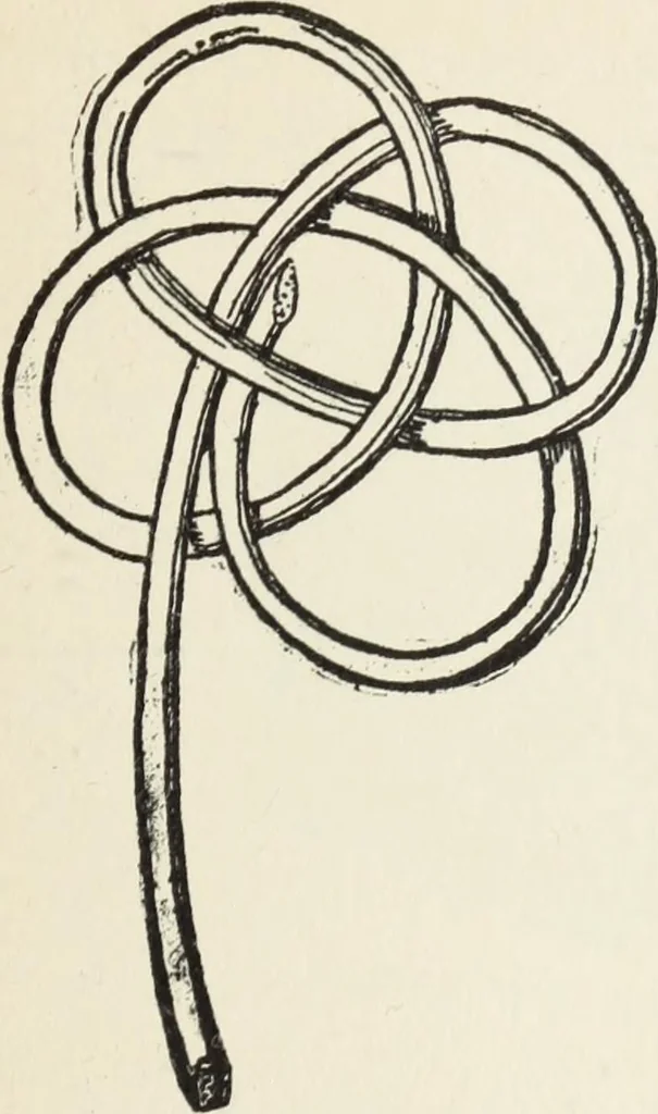 An illustration from How to make baskets, 1911, leaf 112