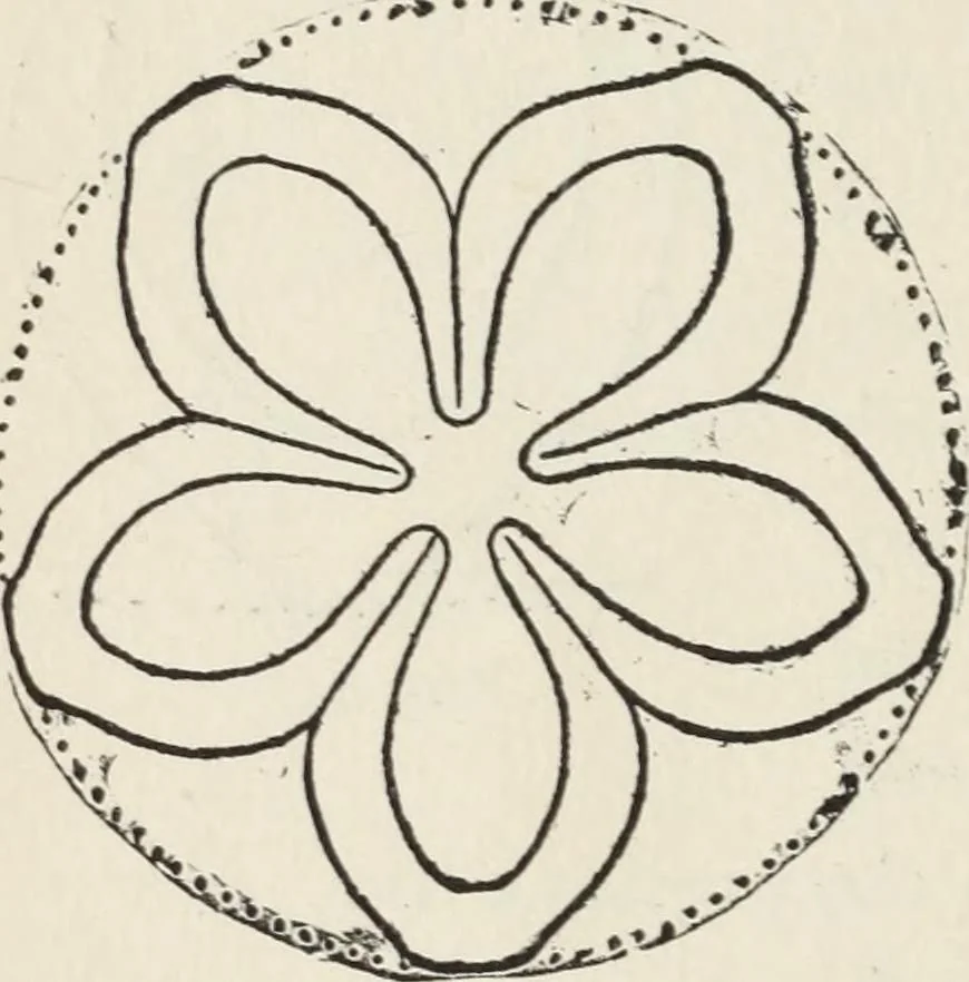 An illustration from How to make baskets, 1911, leaf 135