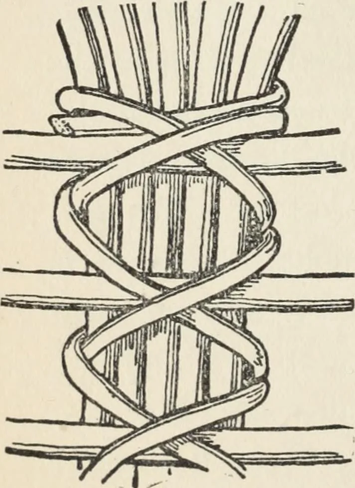 An illustration from How to make baskets, 1911, leaf 173