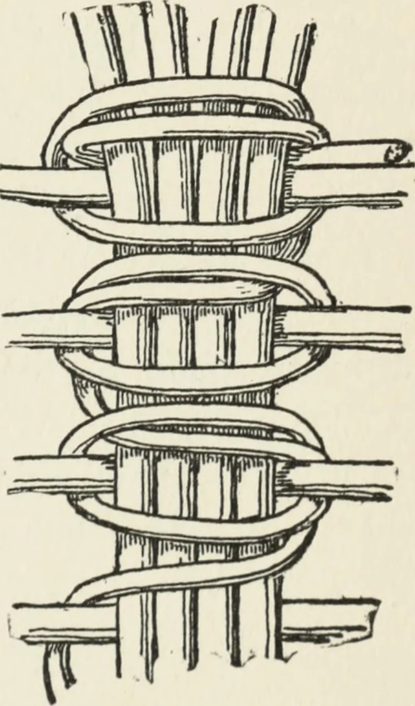 An illustration from How to make baskets, 1911, leaf 176