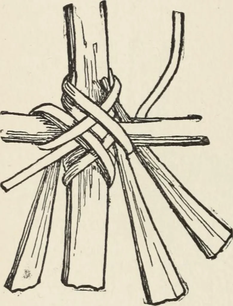 An illustration from How to make baskets, 1911, leaf 185