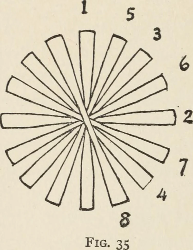 An illustration from How to make baskets, 1911, leaf 215