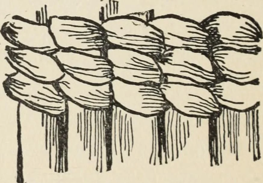 An illustration from How to make baskets, 1911, leaf 215