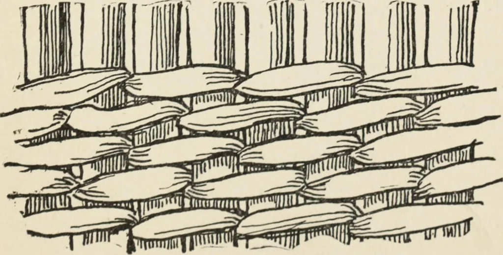 An illustration from How to make baskets, 1911, leaf 216