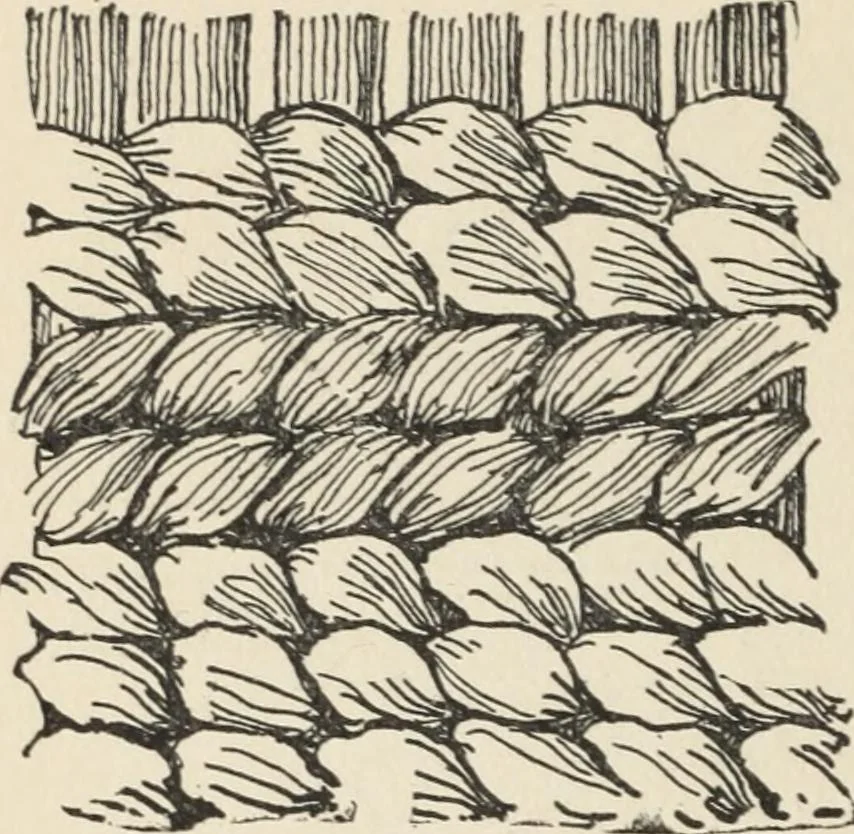 An illustration from How to make baskets, 1911, leaf 217