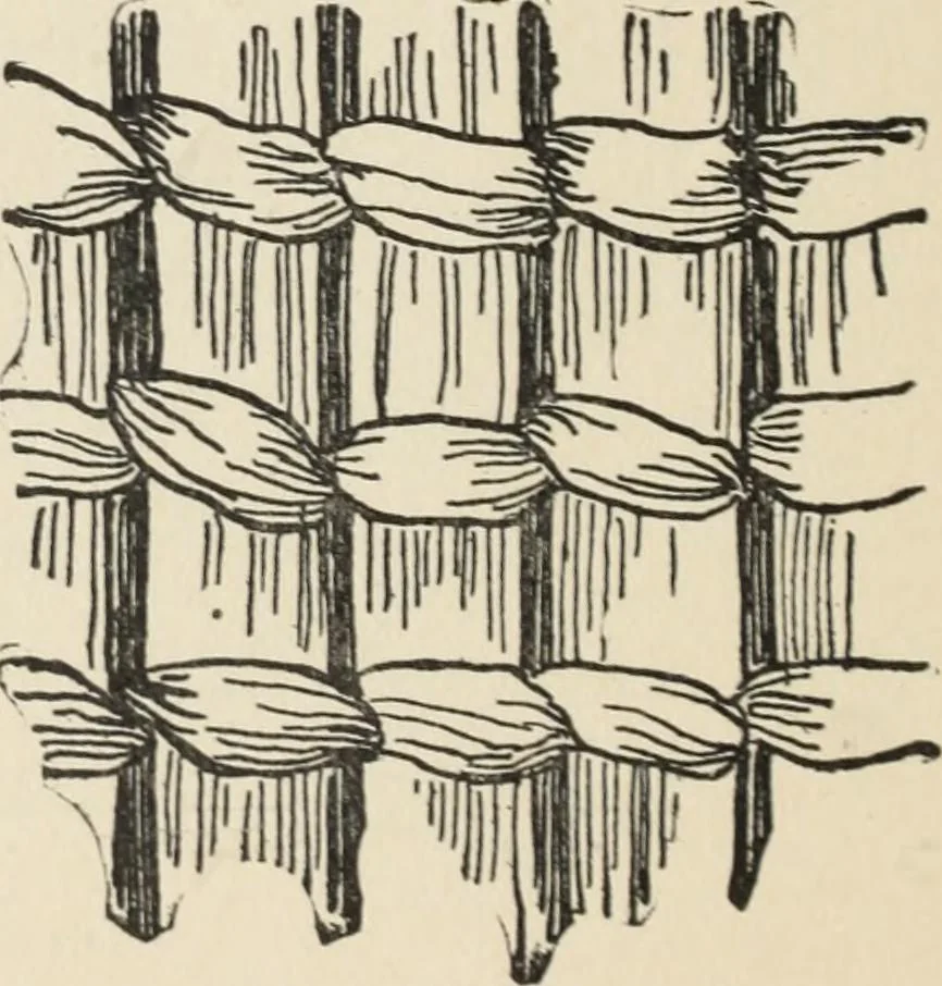 An illustration from How to make baskets, 1911, leaf 217