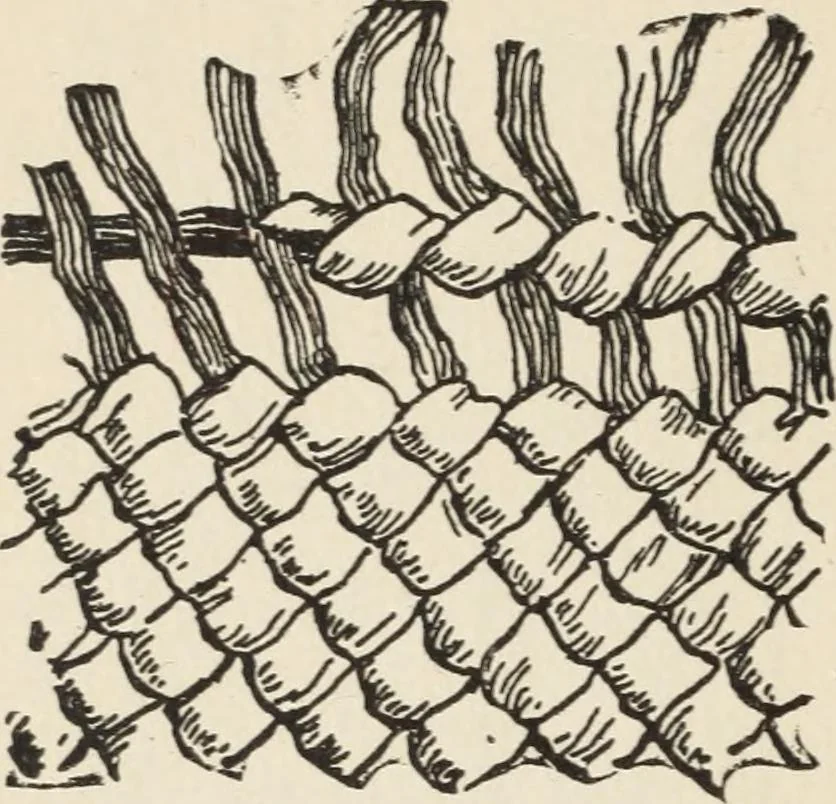 An illustration from How to make baskets, 1911, leaf 227