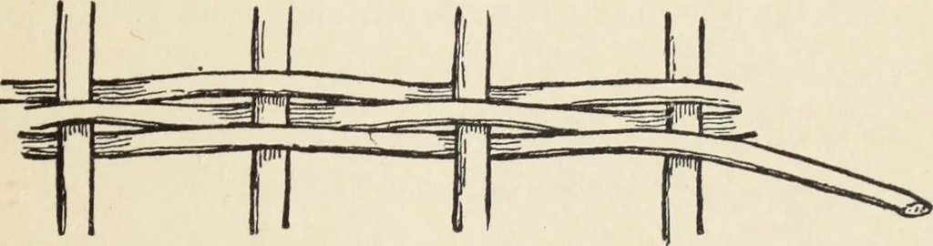 An illustration from How to make baskets, 1911, leaf 26