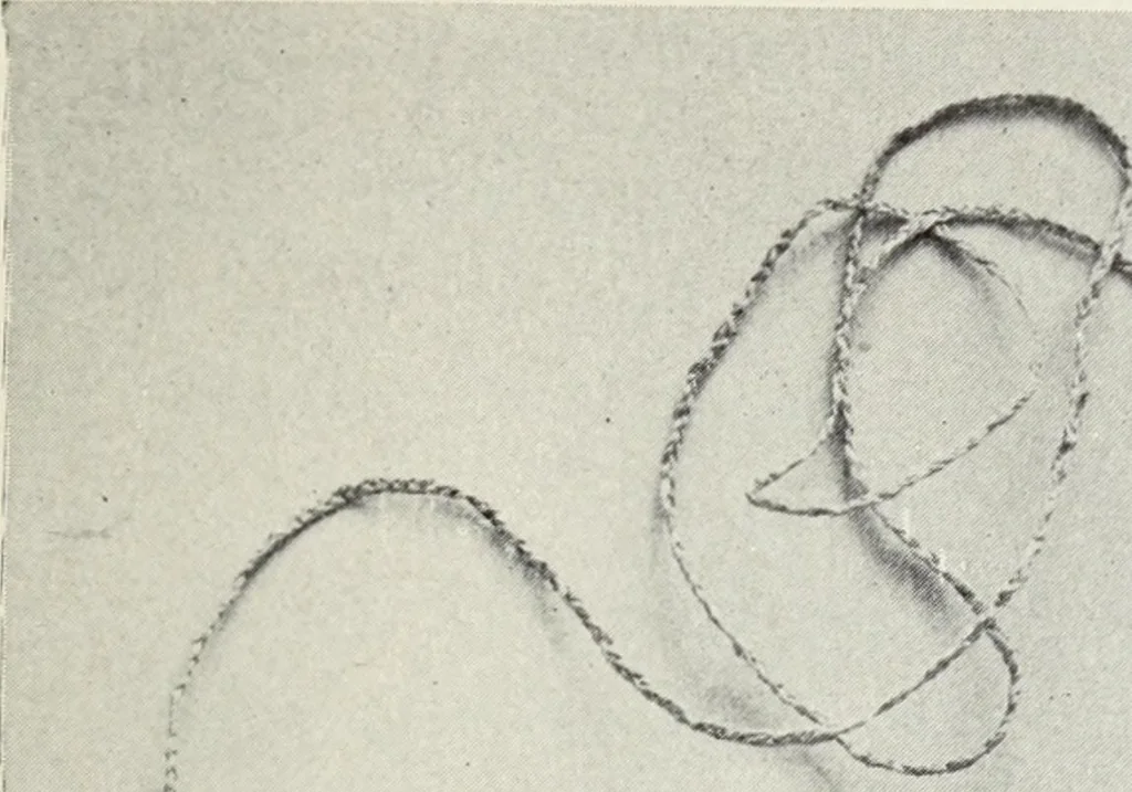 An illustration from How to make baskets, 1911, leaf 36