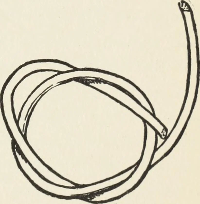 An illustration from How to make baskets, 1911, leaf 68