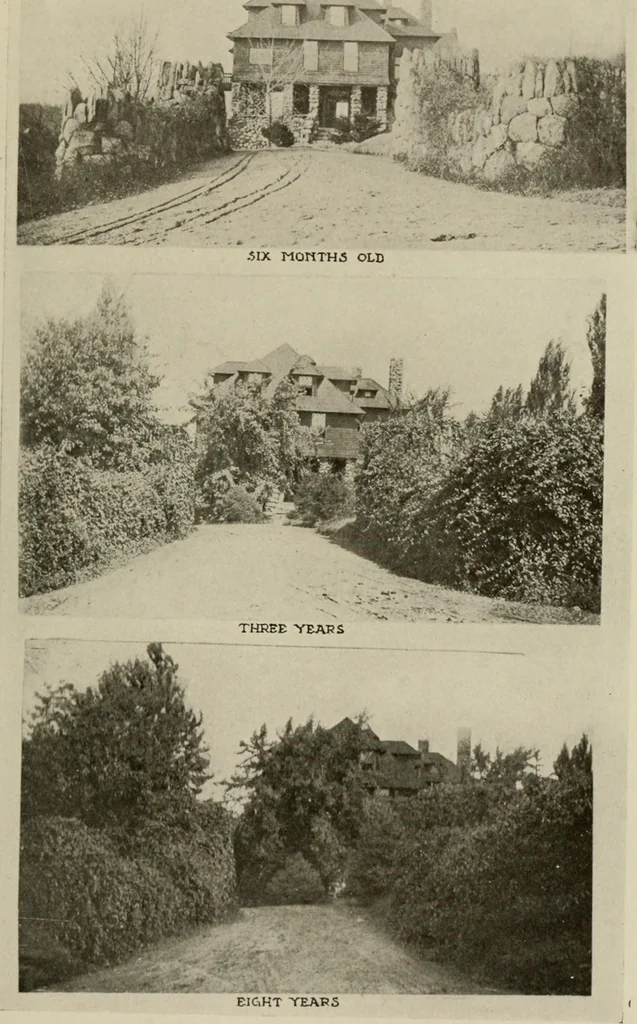 An illustration from How to make a country place; an account of the successes and the mistakes of an amateur in thirty-five years of farming, building and development: together with a practical plan for securing a home and an independent income, starting with small capital, 1914, leaf 126