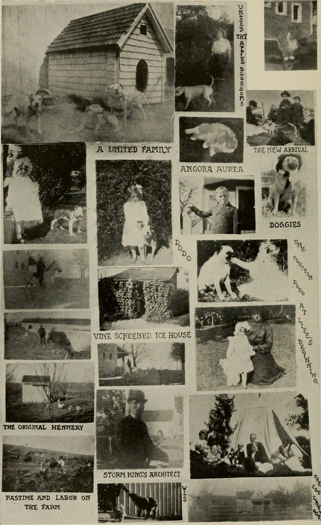 An illustration from How to make a country place; an account of the successes and the mistakes of an amateur in thirty-five years of farming, building and development: together with a practical plan for securing a home and an independent income, starting with small capital, 1914, leaf 133